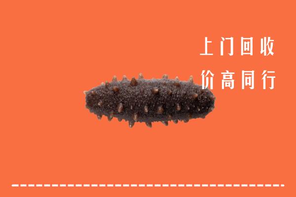 高价求购：阿克苏沙雅回收海参