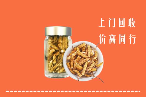 阿克苏沙雅回收冬虫夏草