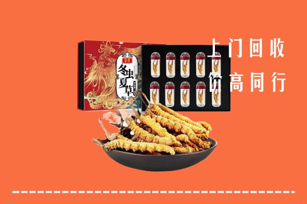 阿克苏沙雅回收虫草